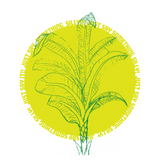 saysomething t shirt art logo with a green circle surrounding a banana tree