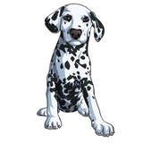 Close up of Dalmation art work that shows a cute dog